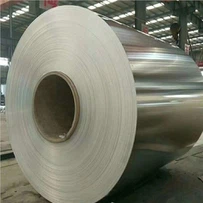 SPCEN Steel Coil