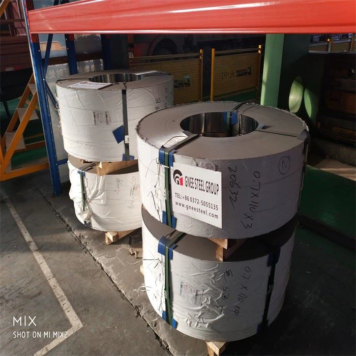 310S Coil 310