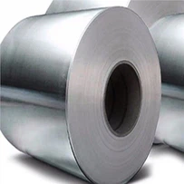 1.4539 Stainless Steel Coil-għoli Alloyed Austenitic
