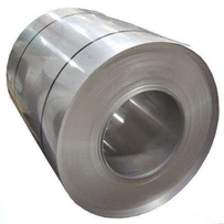 310 Coil Steel