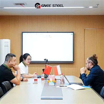 Il-Klijent tal-Polonja Jirċievi Ġarr ta 'Coil Galvanizzat DX56D Minn GNEE